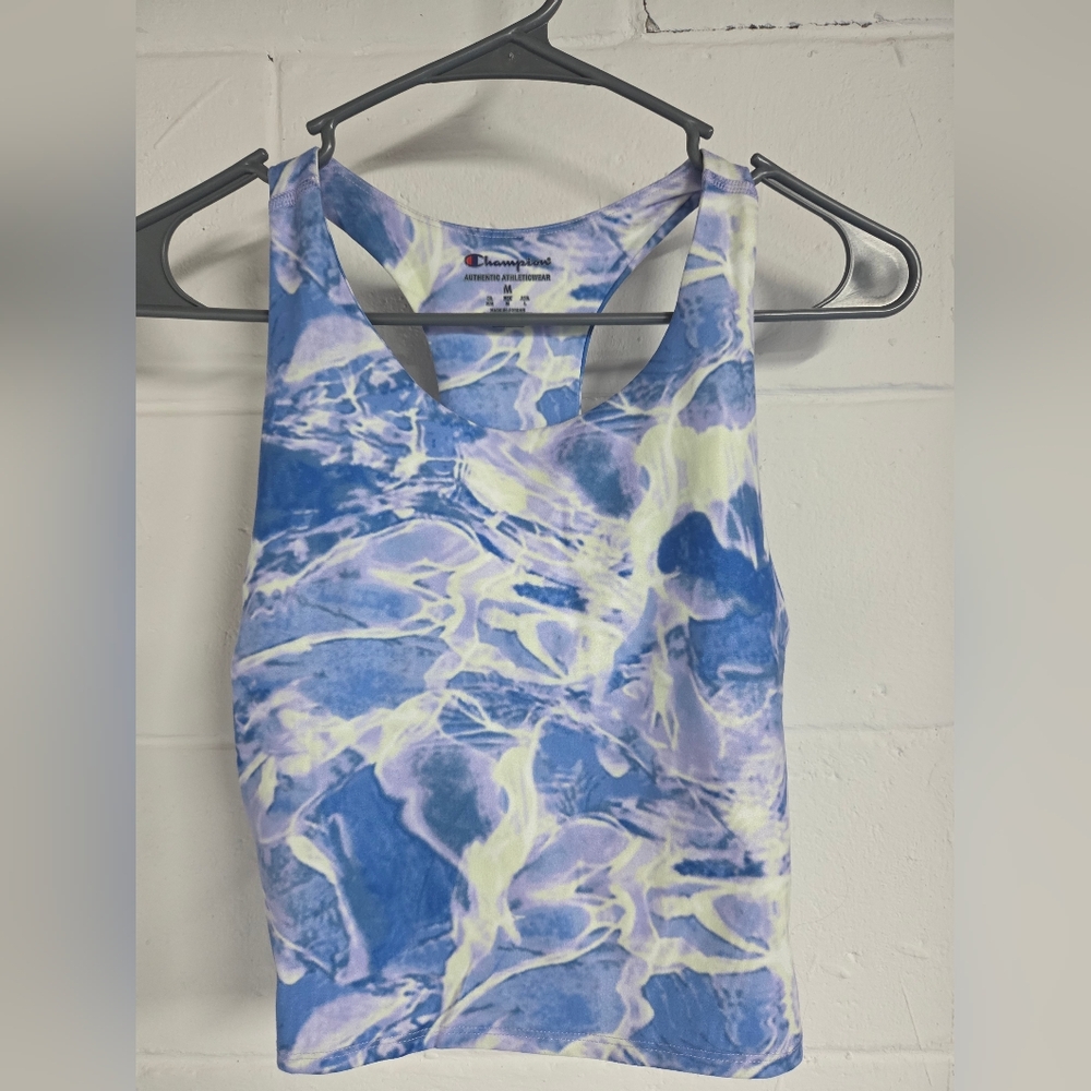 Champion Women's Blue and White Crop Top